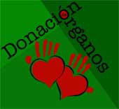 El 43% de los donantes de órganos tiene más de 60 años